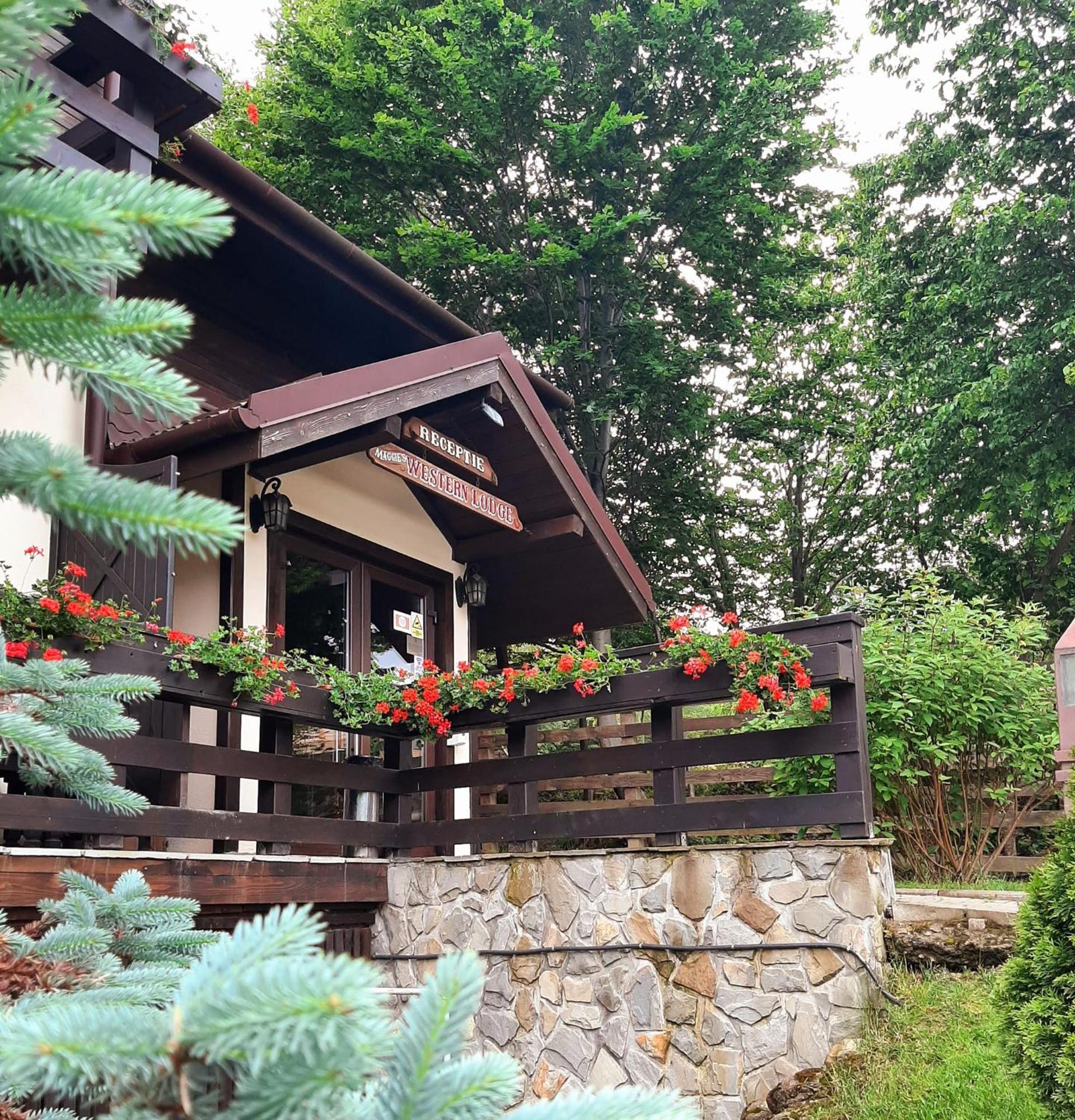 Hotel Maggie'S Ranch Rîşnov Exterior foto